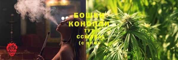 молекула духа Новозыбков