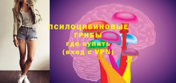 синтетический гашиш Весьегонск