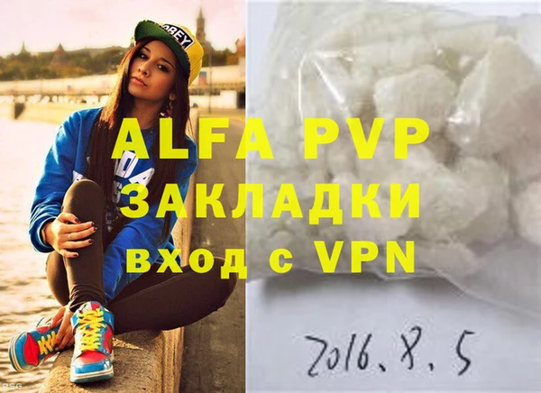 молекула духа Новозыбков