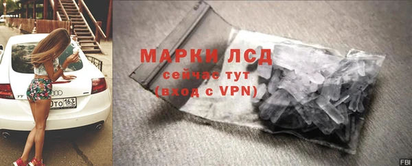 молекула духа Новозыбков