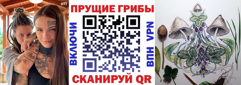 Псилоцибиновые грибы MAGIC MUSHROOMS  Новокубанск 