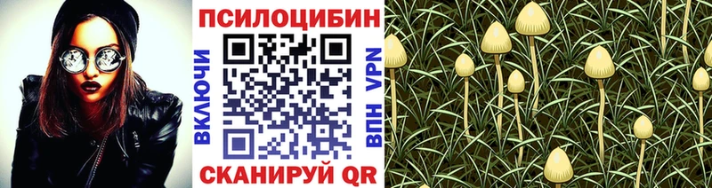 Галлюциногенные грибы GOLDEN TEACHER Новокубанск